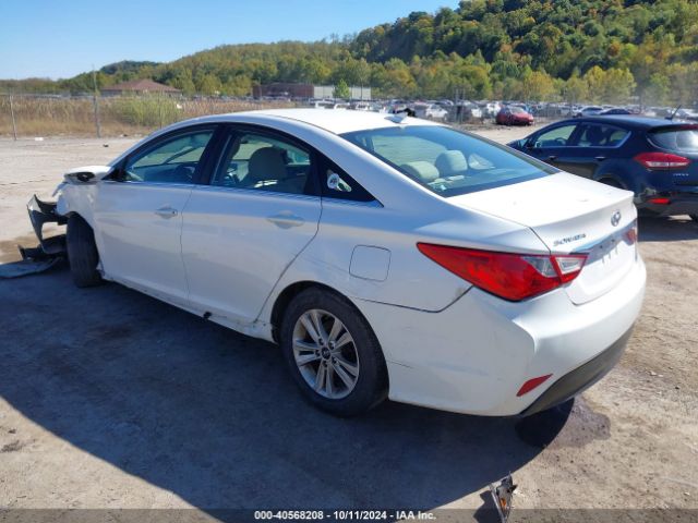 5NPEB4AC3EH841157 Hyundai SONATA GLS