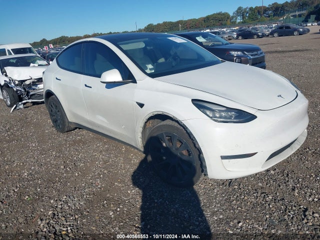 2020 TESLA MODEL Y 5YJYGDEE1LF040491 Photo 0