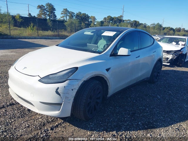 2020 TESLA MODEL Y 5YJYGDEE1LF040491 Photo 1