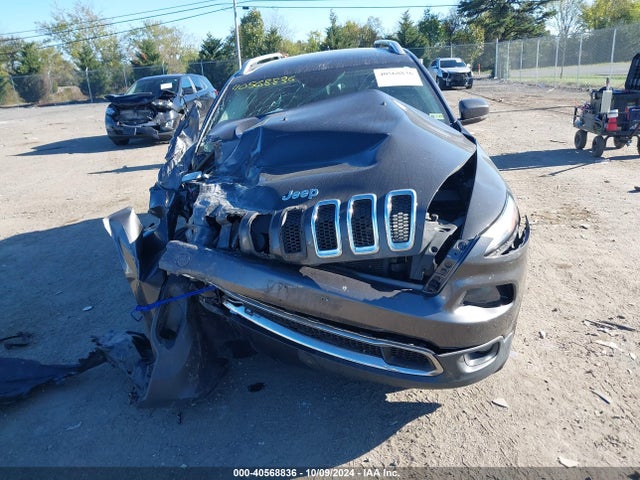 Jeep Cherokee Limited 2014 1C4PJMDS4EW167884 Image 11