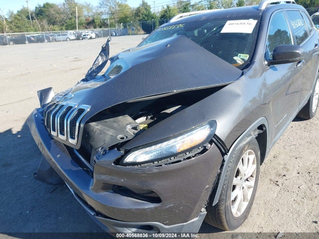 Jeep Cherokee Limited 2014 1C4PJMDS4EW167884 Image 6