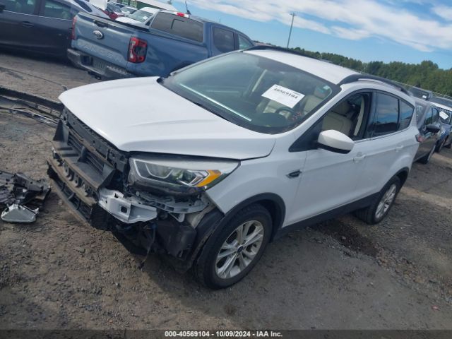 2019 FORD ESCAPE 1FMCU0HD3KUA10831 Photo 1
