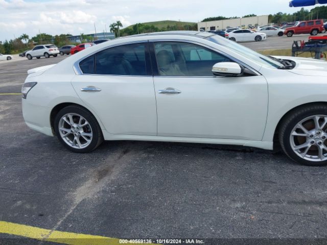 1N4AA5AP7EC491494 Nissan Maxima 3.5 Sv