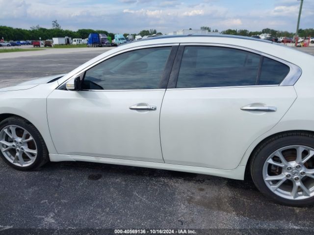 1N4AA5AP7EC491494 Nissan Maxima 3.5 Sv