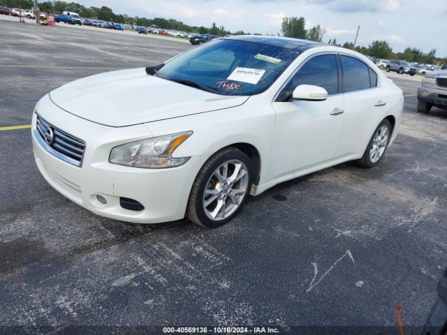 1N4AA5AP7EC491494 Nissan Maxima 3.5 Sv