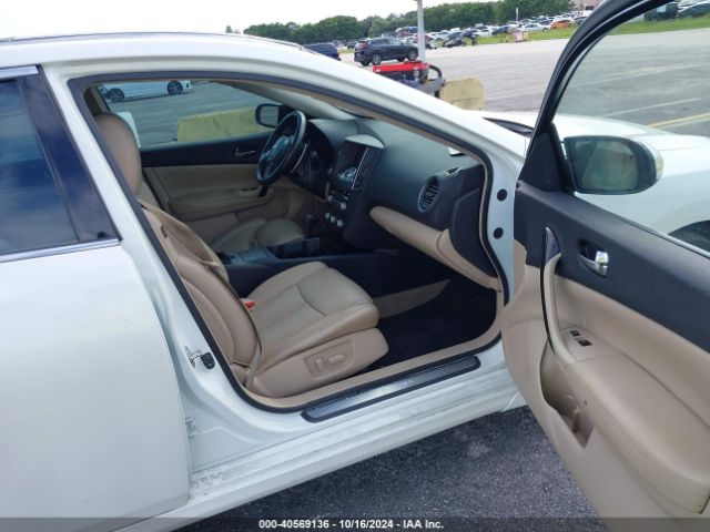1N4AA5AP7EC491494 Nissan Maxima 3.5 Sv