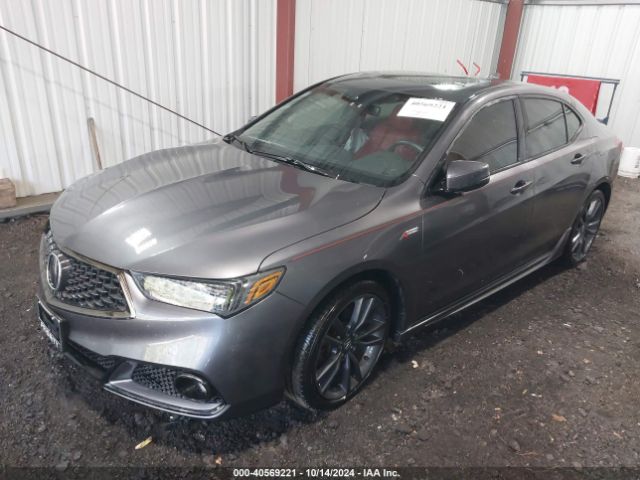 19UUB1F60KA007526 Acura Tlx Tech   A-spec Pkgs/w/a-spec Pkg Red Leather