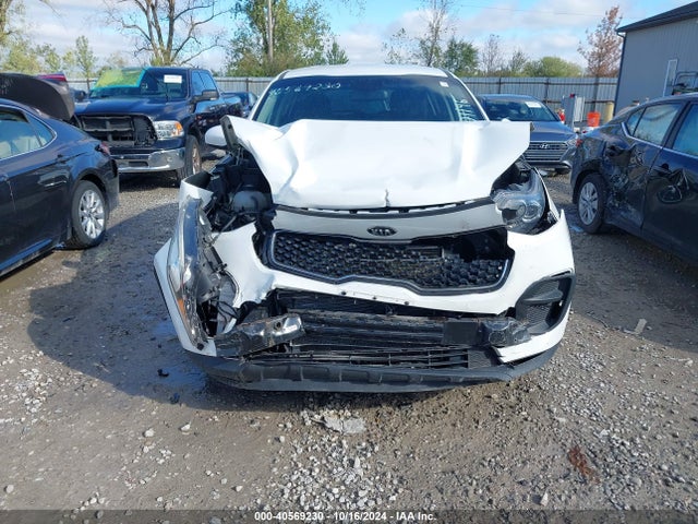 KIA Sportage Lx 2019 KNDPM3ACXK7571146 Image 12