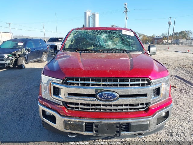 Ford F-150 Xlt 2020 1FTEW1E56LFC52836 Image 6