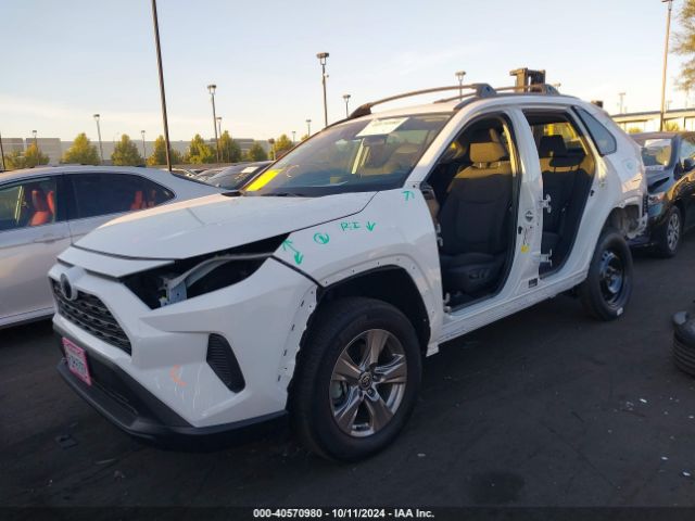 Toyota Rav4 Xle 2023 2T3W1RFV2PW298619 Image 2
