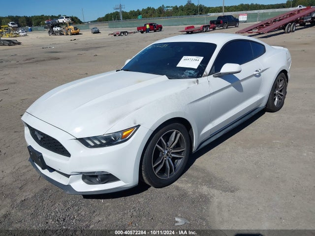 Ford Mustang Ecoboost 2017 1FA6P8TH4H5280855 Image 2