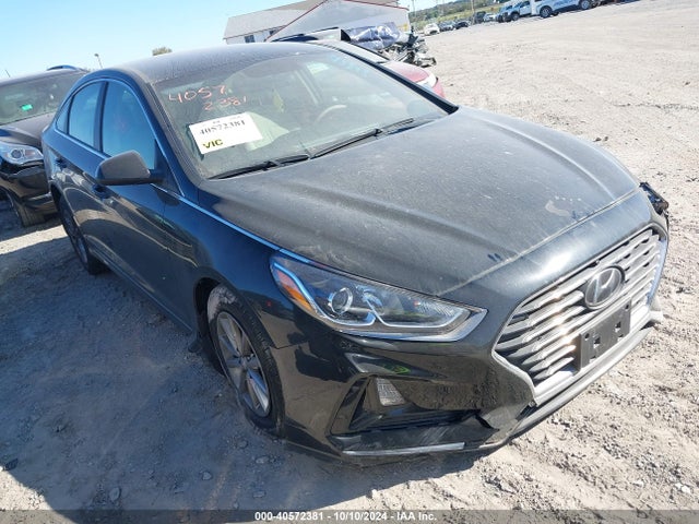 2019 5NPE24AF8KH811366 main image
