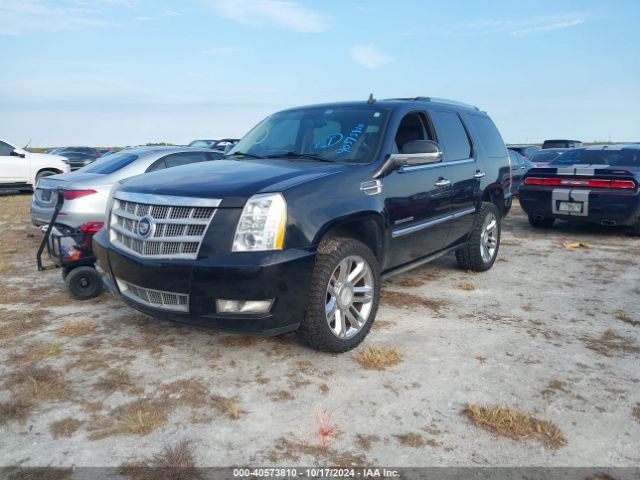 2008 CADILLAC ESCALADE 1GYFK43858R248761 Photo 1