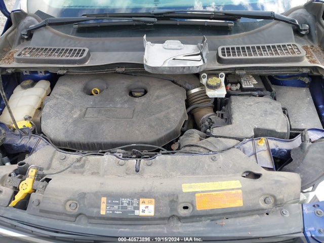 Ford ESCAPE SE 2014 1FMCU9G94EUE36260 Image 10