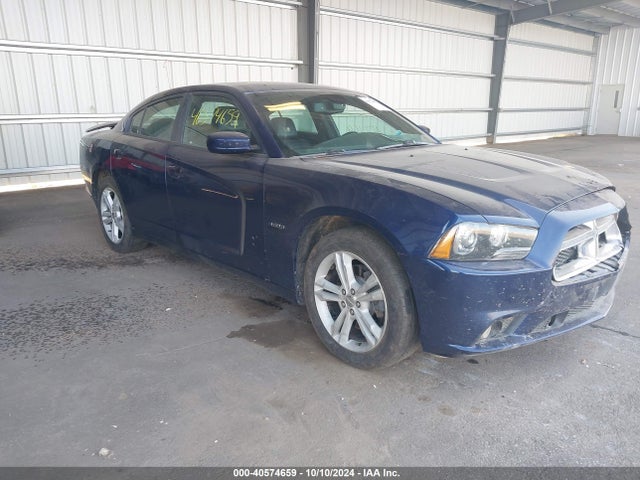 Dodge Charger R/t Max 2014 2C3CDXDT0EH206117 Image 1