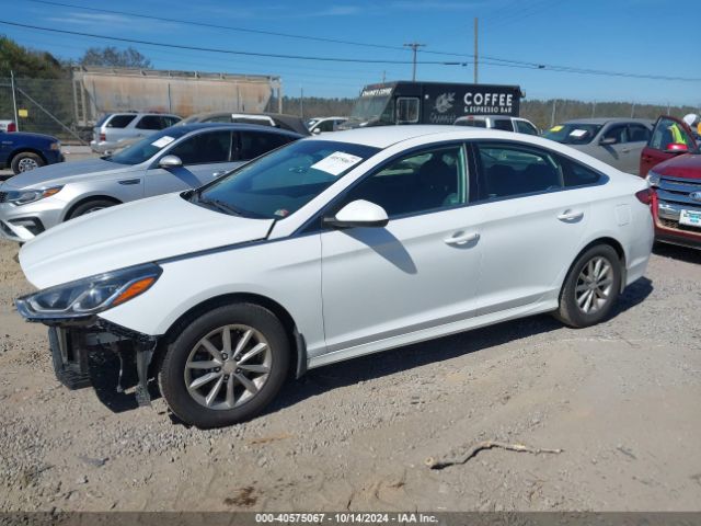 5NPE24AF6JH665743 Hyundai SONATA SE