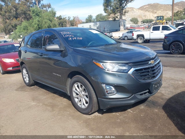 Chevrolet EQUINOX LS 2019 3GNAXHEV0KS616366 Image 1