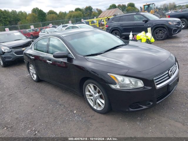 2013 NISSAN MAXIMA 1N4AA5AP9DC802051