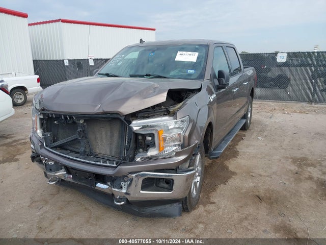 Ford F-150 Xlt 2019 1FTEW1E46KKE59255 Image 2