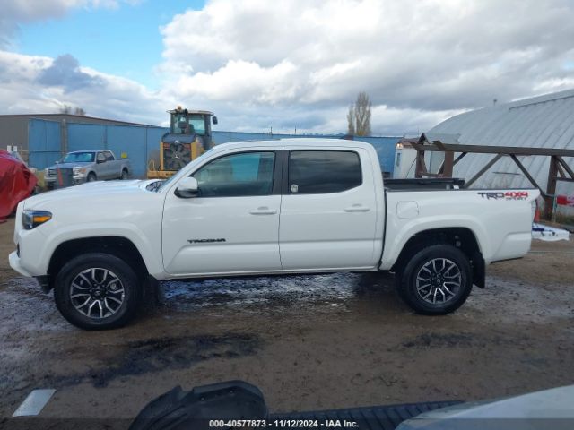 3TMCZ5AN6PM637881 Toyota Tacoma Trd Sport