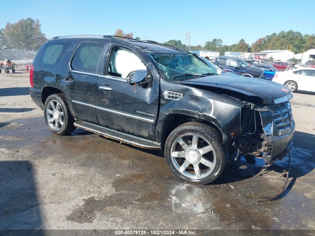 2010 CADILLAC ESCALADE 1GYUKBEF0AR291966 Photo 0