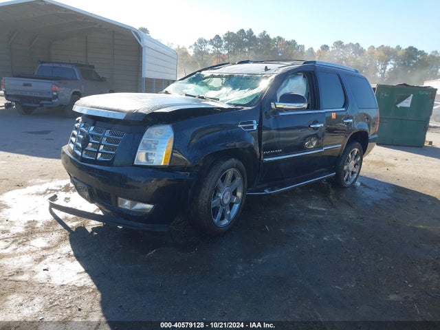 2010 CADILLAC ESCALADE 1GYUKBEF0AR291966 Photo 1