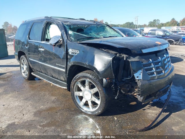 2010 CADILLAC ESCALADE 1GYUKBEF0AR291966 Photo 5