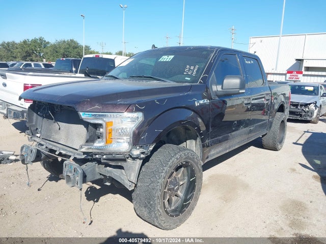 Ford F-150 Xlt 2019 1FTEW1C53KFC47787 Image 2