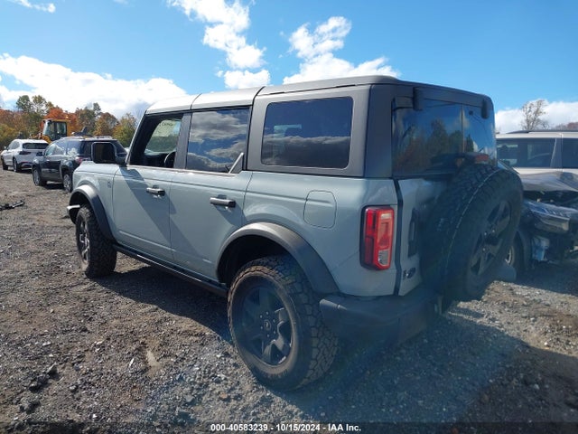 Ford Bronco Black Diamond 2024 1FMDE1BH5RLA55949 Image 3