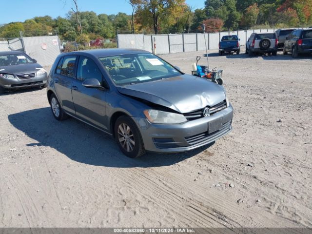 3VW217AU2FM008331 auction archive image