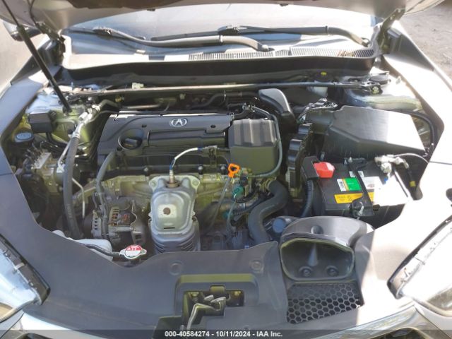 19UUB1F3XKA009385 Acura Tlx Standard