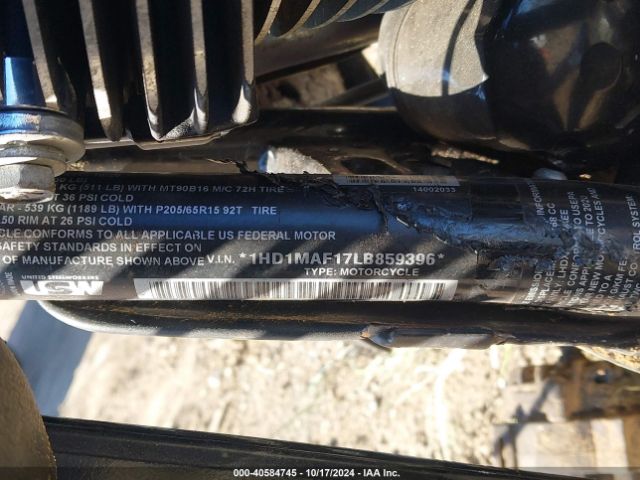 2020 HARLEY-DAVIDSON FLHTCUTG 1HD1MAF17LB859396 Photo 9