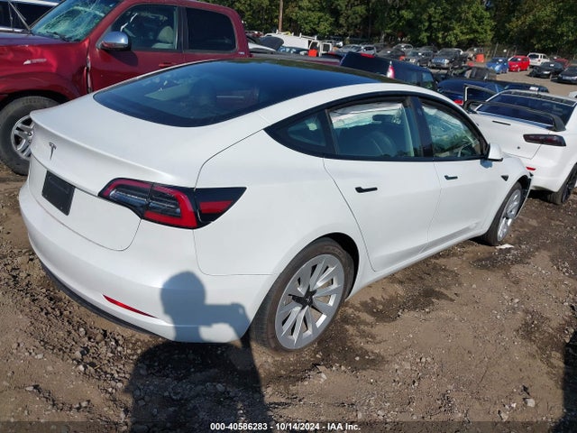 2023 TESLA MODEL 3 5YJ3E1EA6PF446879 Photo 3