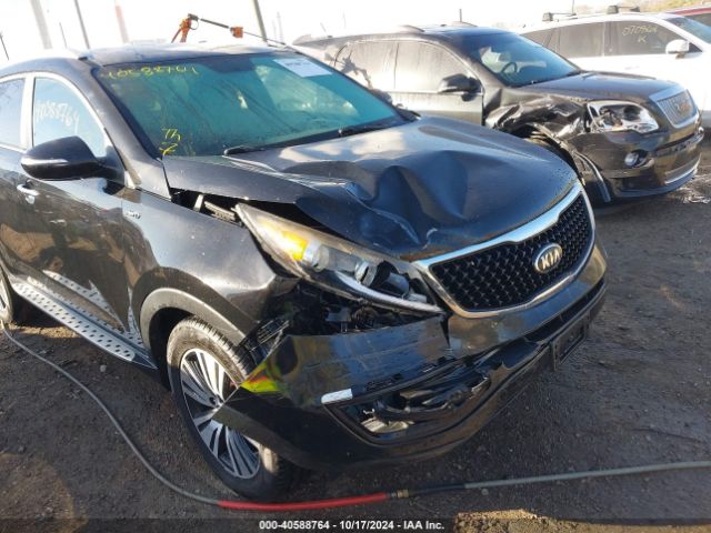 KNDPCCAC0E7642281 KIA Sportage Ex