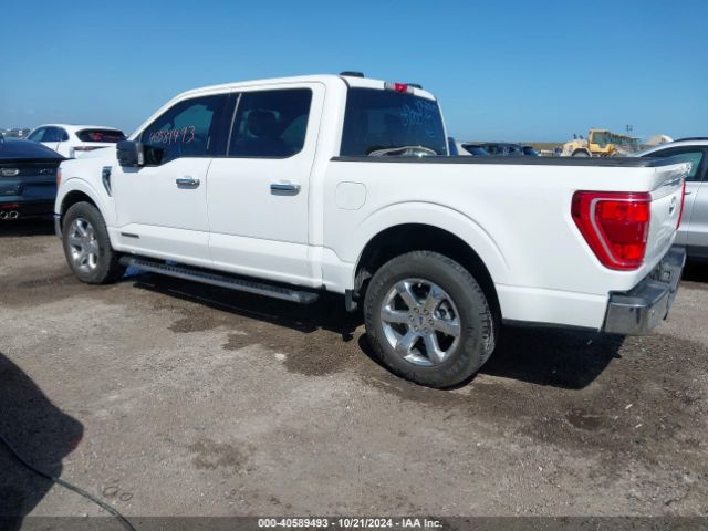 2021 FORD F-150 1FTFW1CD4MFC00511 Photo 2