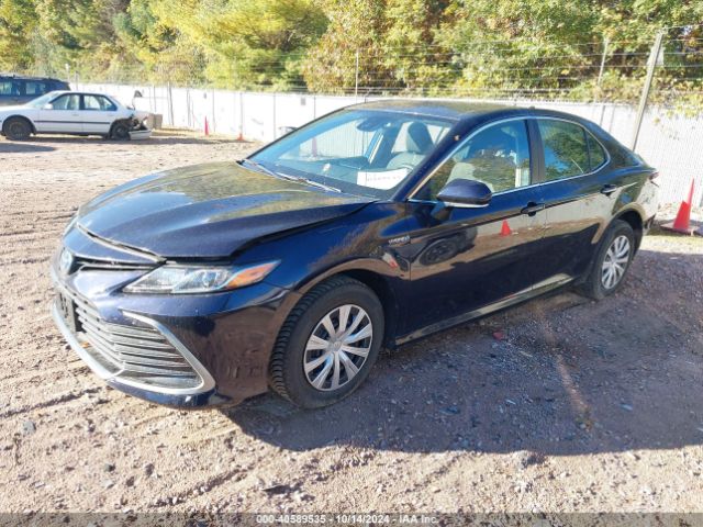 4T1C31AK3MU547462 Toyota Camry Le Hybrid