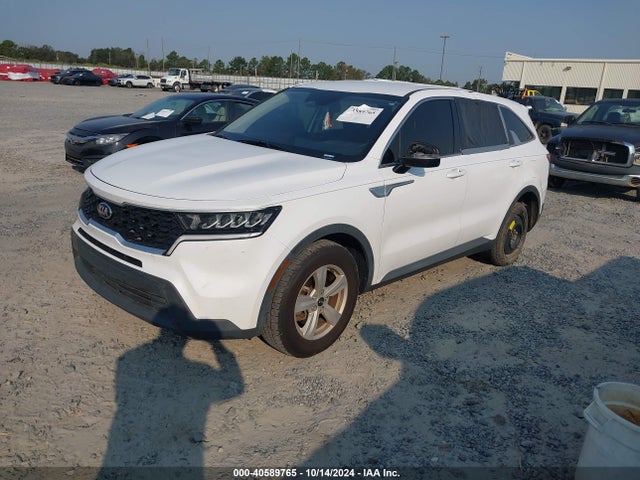 KIA SORENTO LX 2021 5XYRG4LC5MG017201 Image 2