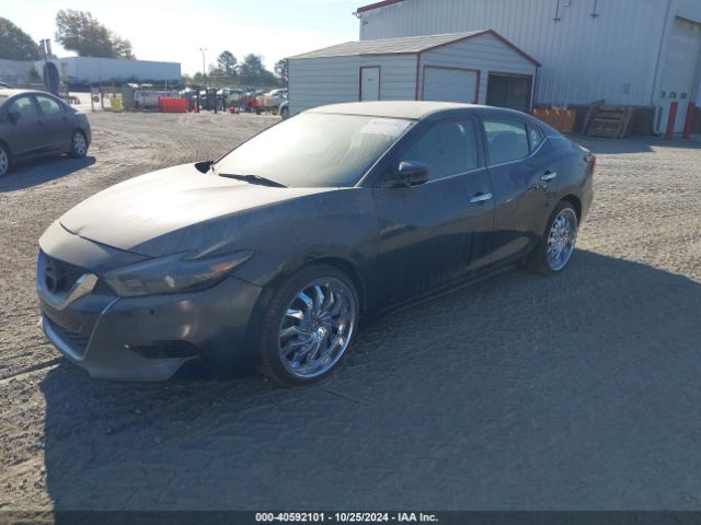 1N4AA6AP3HC361626 Nissan Maxima 3.5 Platinum/3.5 S/3.5 Sl/3.5 Sr/3.5 Sv