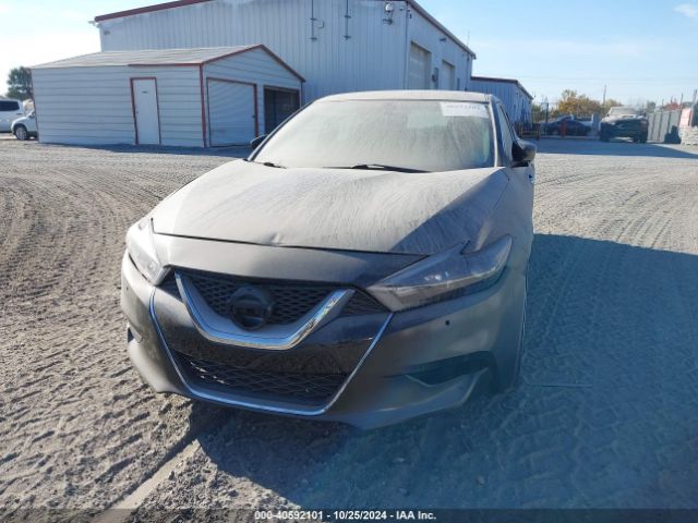 1N4AA6AP3HC361626 Nissan Maxima 3.5 Platinum/3.5 S/3.5 Sl/3.5 Sr/3.5 Sv