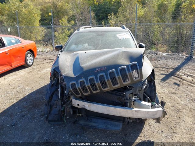 1C4PJMCB4GW289388 Jeep Cherokee 75th Anniversary