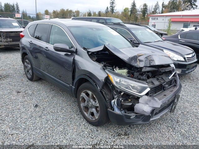 Honda Cr-v Ex-l 2019 JHLRW2H85KX021399 Image 1