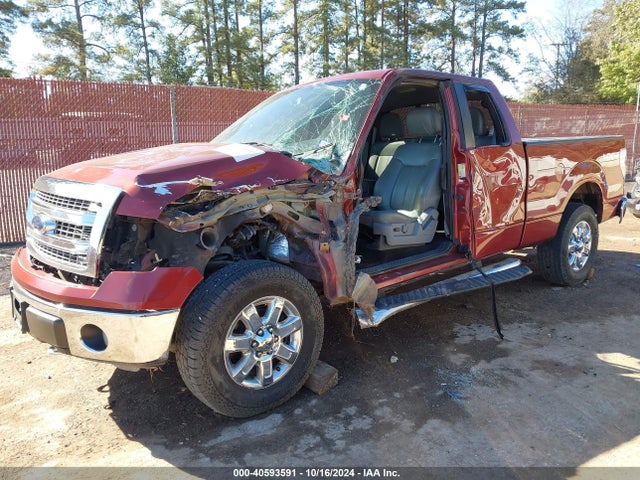 Ford F-150 Xlt 2014 1FTFX1EF3EKD36990 Image 2