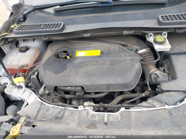 Ford ESCAPE SE 2016 1FMCU0GXXGUB21797 Image 10