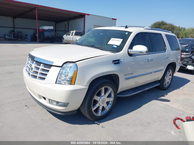 2011 CADILLAC ESCALADE 1GYS3BEF5BR346899 Photo 1