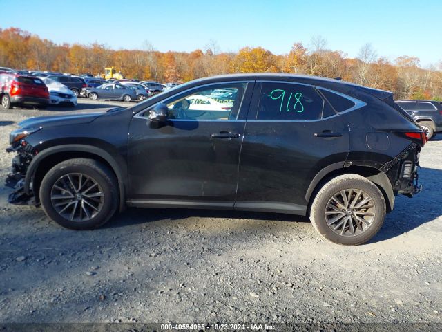 2T2GGCEZ2RC038931 Lexus Nx 350 Premium