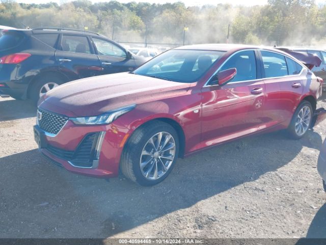 1G6DS5RW5P0143006 Cadillac Ct5 Premium Luxury