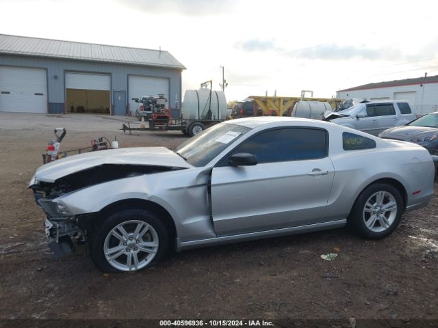 1ZVBP8AM6E5216723 Ford Mustang V6