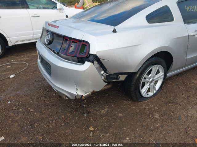 1ZVBP8AM6E5216723 Ford Mustang V6