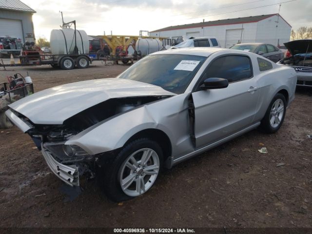 1ZVBP8AM6E5216723 Ford Mustang V6