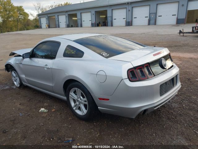 1ZVBP8AM6E5216723 Ford Mustang V6